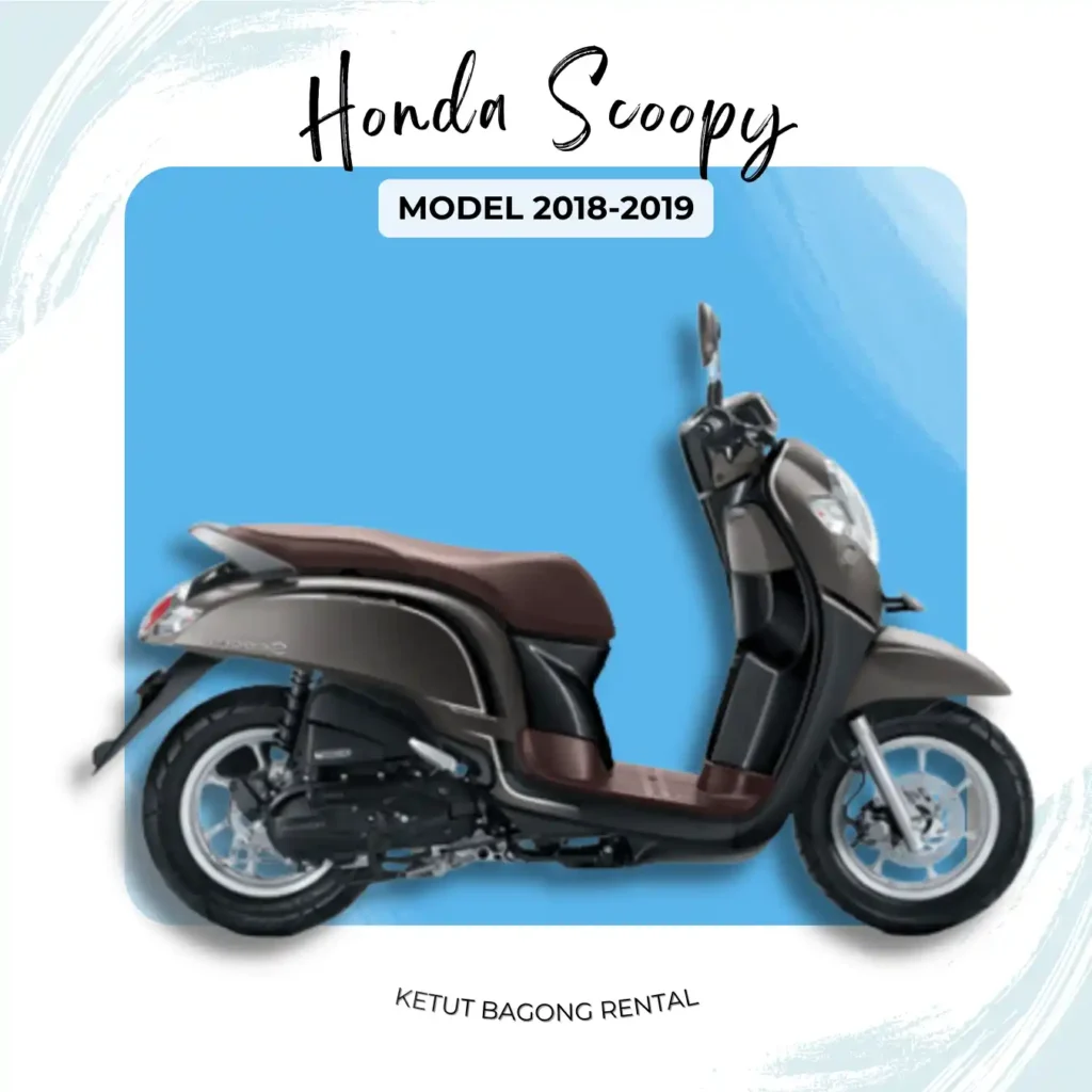 enjoy your honda scoopy 110cc 2018-2019