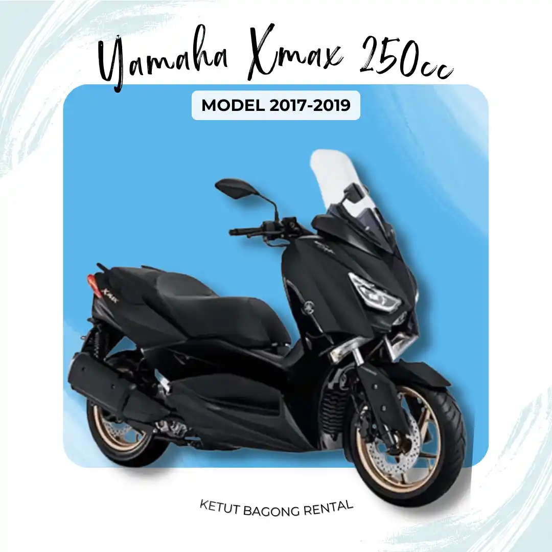 Yamaha XMAX 250cc 2017