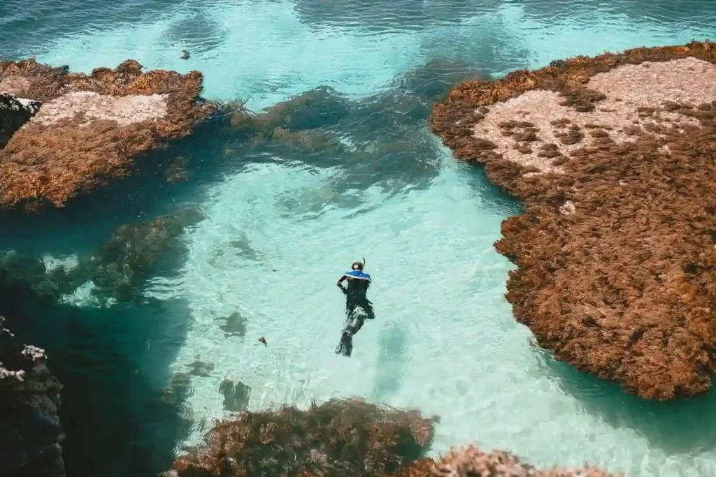 snorkeling in bali