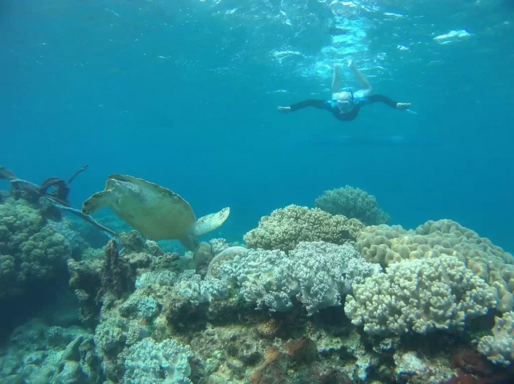 snorkeling at virgin beach