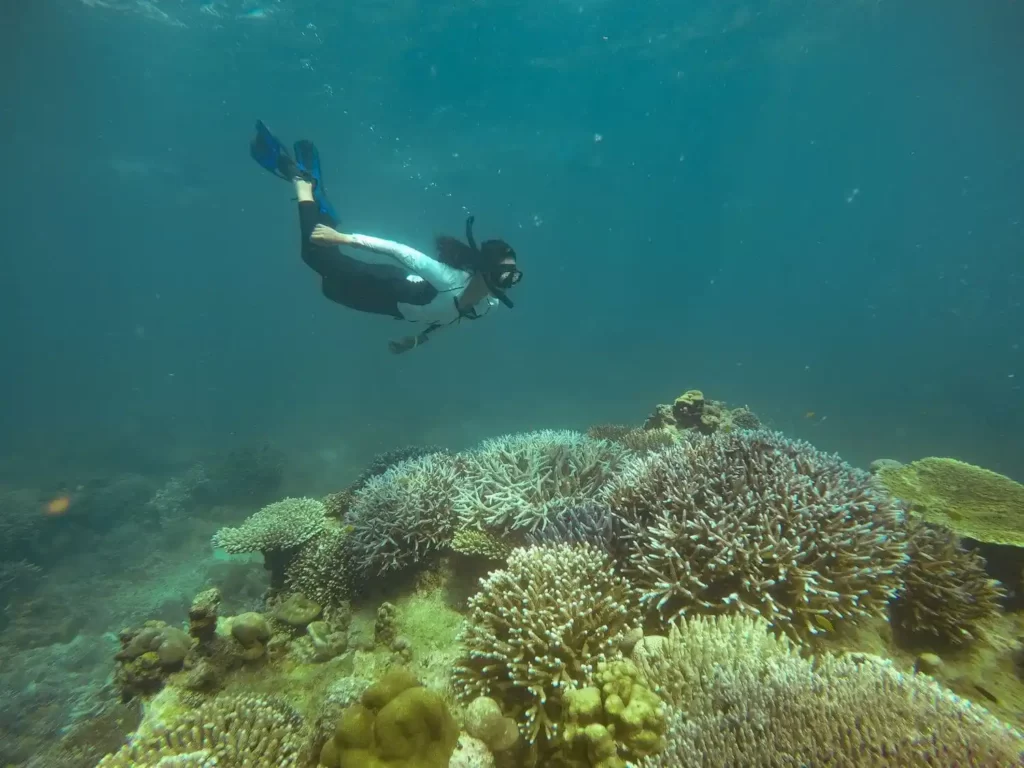 Best Beach In Bali For Snorkeling