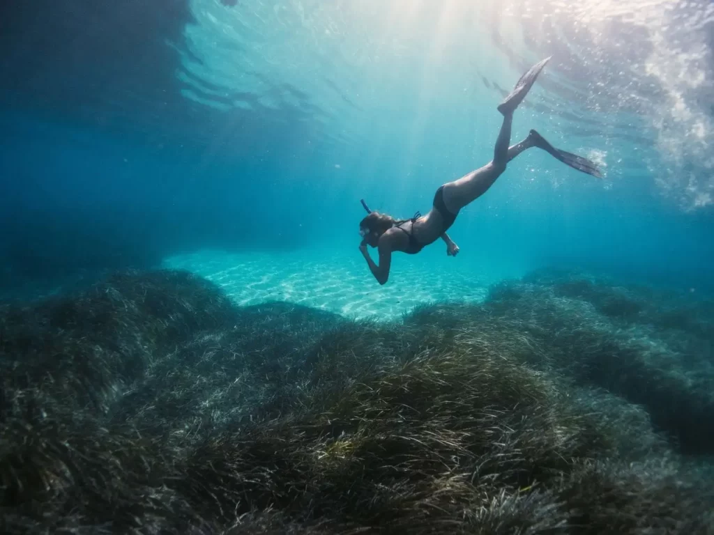 women unveiling the perfect view underwater