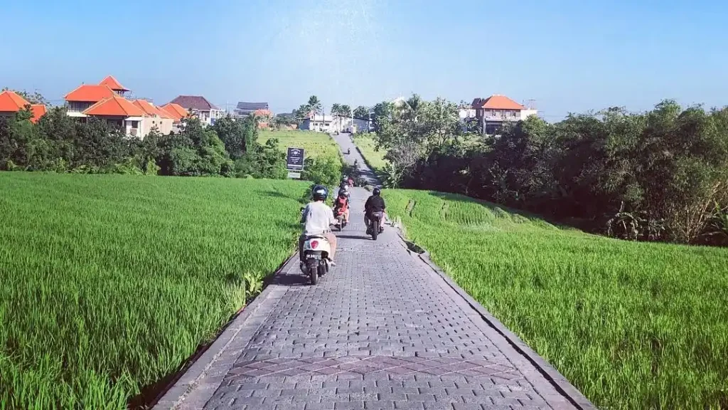 travel guide in canggu to the rice terraces