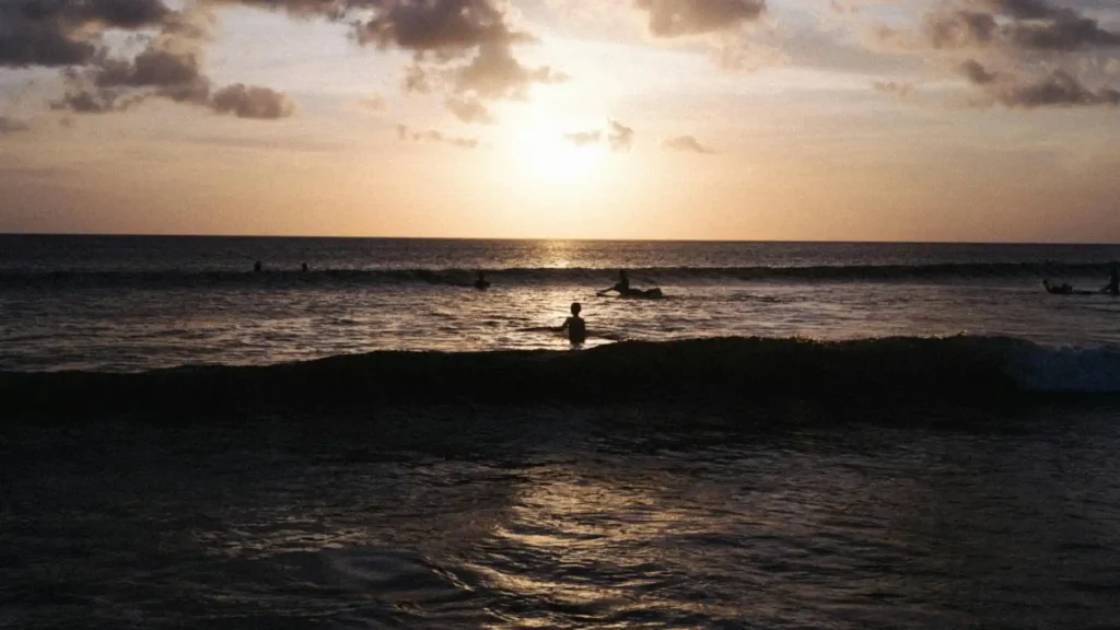 wellness driving in bali